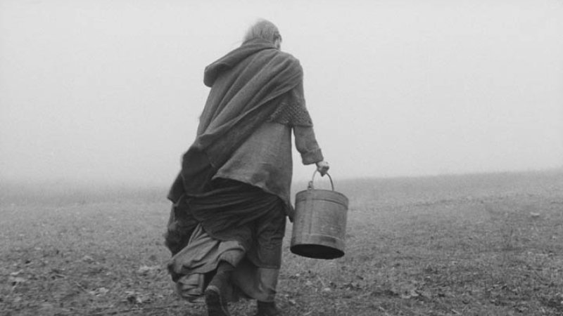 《都靈老馬》(2011)